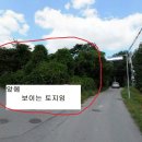 대지 이미지