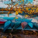 힐링(만인산) 이미지