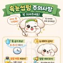 마포 공덕 속눈썹 추천, 플로리아뷰티 딥블랙 래쉬펌 후기