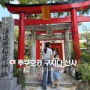 신사와나무 | 후쿠오카 구시다 신사 방문 후기 | 하카타 가볼만한 곳, 7월 야마카사 축제 성지