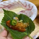 은화횟집 | [연제구 맛집] 거제동 맛집 은화횟집에서 포장해서 회 먹은 후기!