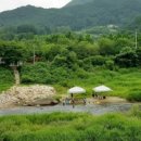 가평사계절캠핑장 이미지