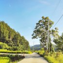 황둔수산