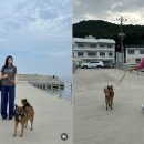 전진농장4 이미지