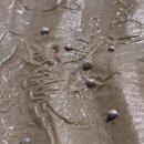 갯벌의 추억 이미지