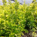 김희성 농장 이미지