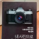 세컨브레인 이미지