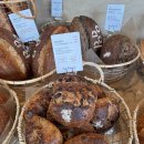 포도빵집(Podo Bakeshop) | [17] [압구정]100% 쌀빵 전문 '포도빵집 압구정점' 내돈내산 솔직후기