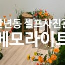 메모라이트 이미지