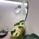 방배목장 강릉점 이미지