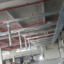 헬러코리아 이미지