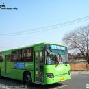 [대화교통] 708번 칠곡한양산호아파트 - 대구대 간 BS106 ROYAL CITY '11 外 이미지