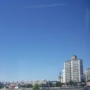 맛수동 | 대전탄방역맛집/ 탄방동맛집/ 세이백화점맛집 :: 가성비 좋은 맛수동