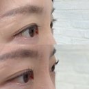 캣츠속눈썹 | 캣츠아트 속눈썹왁싱 답십리점 동대문 답십리 속눈썹펌 후기