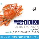 진이네인삼사