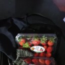 바이크존