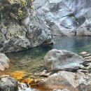 샬롬장식 | 단양계곡펜션 찾는다면 여기가 답! 단양숙소추천 감성 가득한 자연 속 힐링 스테이, 샬롬펜션 후기