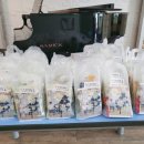 미라바이올린학원 이미지