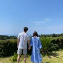 심형탁 카카오 검색결과