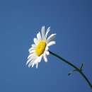 너의하루 이미지