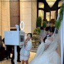 티오 | 웨딩 포토부스 대여 특별한 티오박스 솔직후기