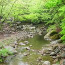 지리산꽃담 이미지