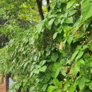 한,중 행정사 이미지