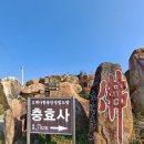 수원 웰빙산악회 4월 정기산행(경남 창녕 영취산 산행) 이미지