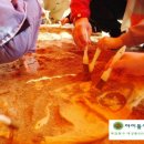 은어송유치원 네이버블로그
