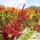 봄여름가을 이미지