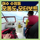 여수오동도 - 종로구 | 여수 대표 관광지 :: 오동도 모터보트 후기 (코스•이용요금•주차장)