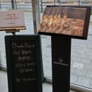 빈입니다천안 | ​[천안 맛집] 브런치빈 천안점 방문 후기: 메뉴 선택 팁과 '밥 대신 브런치' 세트 솔직 리뷰