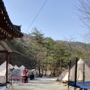 소꿉놀이민박 이미지