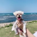 다은동물병원 이미지