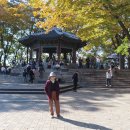 남산공원길 이미지