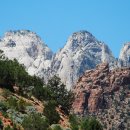 자이언(ZION) 이미지