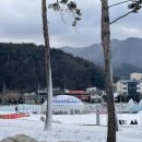 평창송어 | 국내여행) 아이랑 강원도 평창 송어 축제 후기