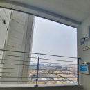 바하악기 이미지