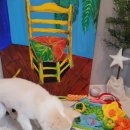 하쯔 베이커리 이미지