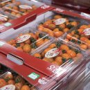 장암농협 농산물유통센터 | “연매출 800억 돌파”…유통 혁신으로 부여 농산물 힘 키운다 [디지털농업 I 산지 마케팅 우수 현장...