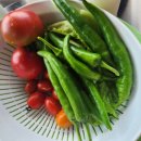 금어농장 이미지