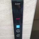 용인대그린체육관 | 4월 후반 근황