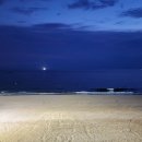 블루모텔 이미지