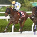 우승목장2 이미지