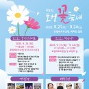 호법 코스모스길 이미지