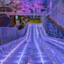 아이스뮤지엄 이미지