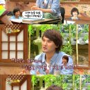 박찬호야구장야구장 뉴스엔