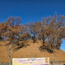 오늘은 선덕여왕이 내안에~ 이미지