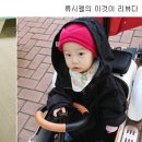 분당중앙동물병원 이미지