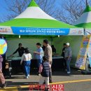 태백산맥거리 이미지